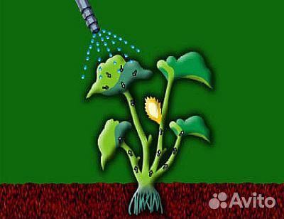 Средство от сорняков Ураган Форте