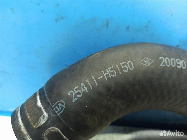 Патрубок радиатора верхний Hyundai Solaris 2 2017