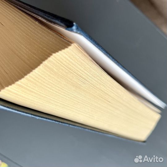 Н.Степанова Большой толкователь снов