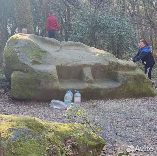 Кудепстенское Лесничество