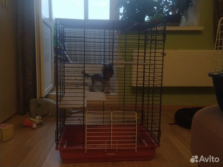 Клетка для грызунов