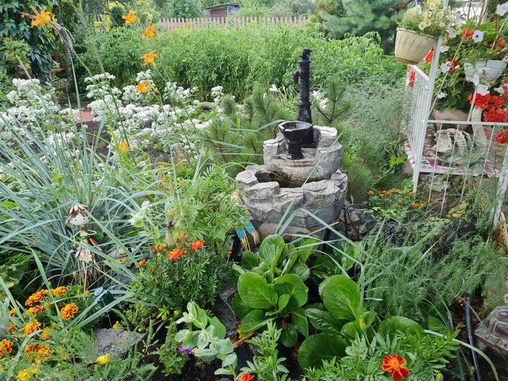 Дача 39 м² на участке 6 сот.