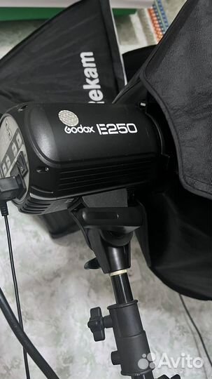 Godox E 250
