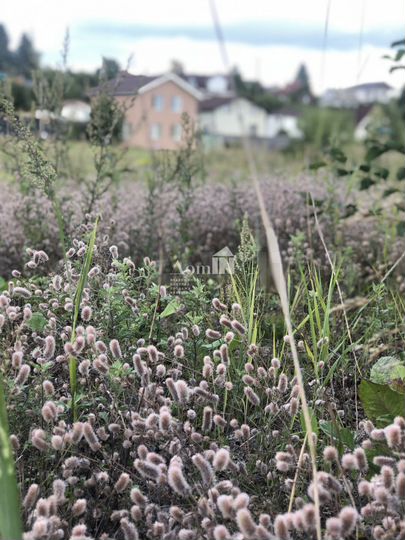 Участок 20 сот. (ИЖС)