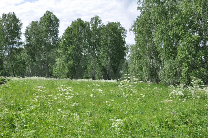 Участок 1,12 га (СНТ, ДНП)