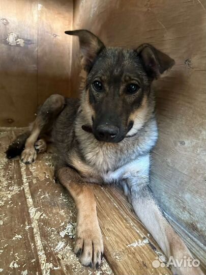 Ребенок в приюте