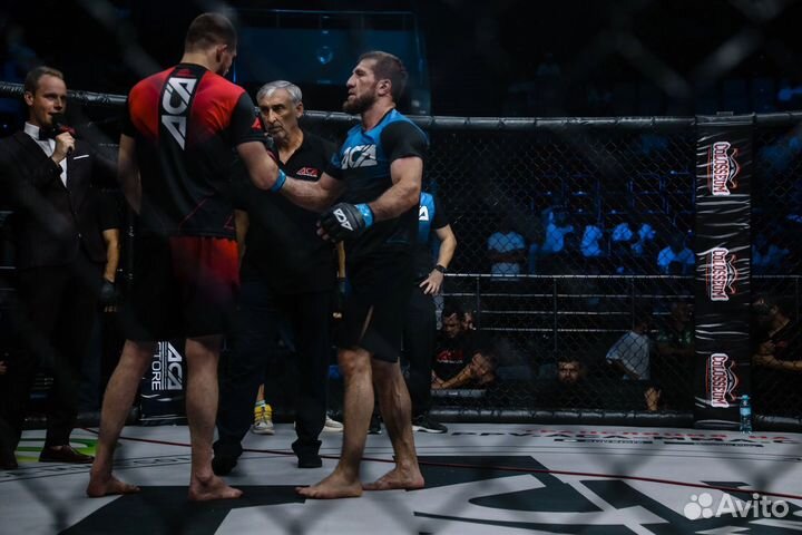 Тренер по единоборствам