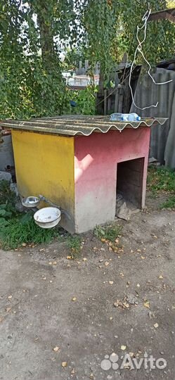 Будка для собаки бесплатно