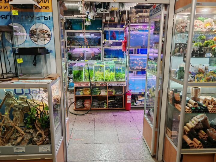 Торговая площадь, 20 м²