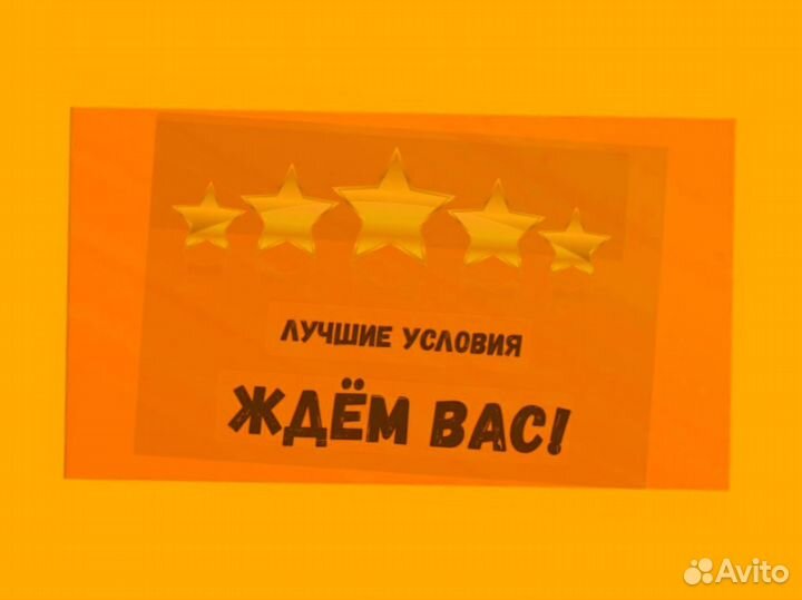 Наборщик заказов Без опыта Еженедельные выплаты