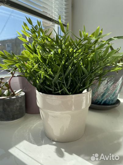 Фейка IKEA. Цветы искусственные