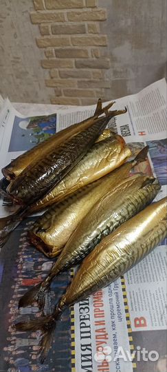 Скумбрия холодного копчения