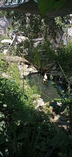 Дом 40 м² на участке 7 сот.