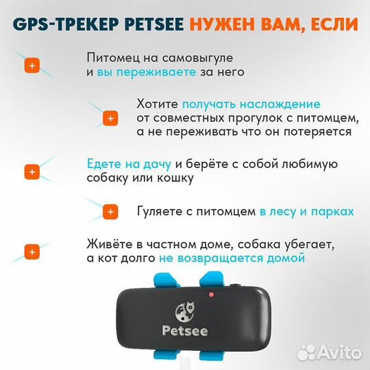 Gps ошейник для охотничьей собаки