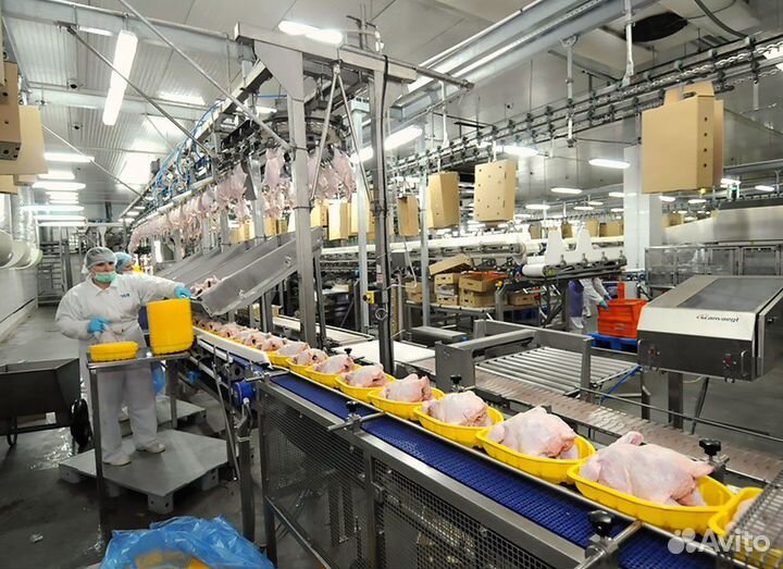 Вакансия работник на птицефабрику Челябинск