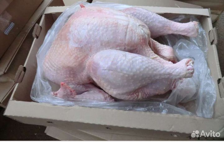 Индейка тушка Халяль