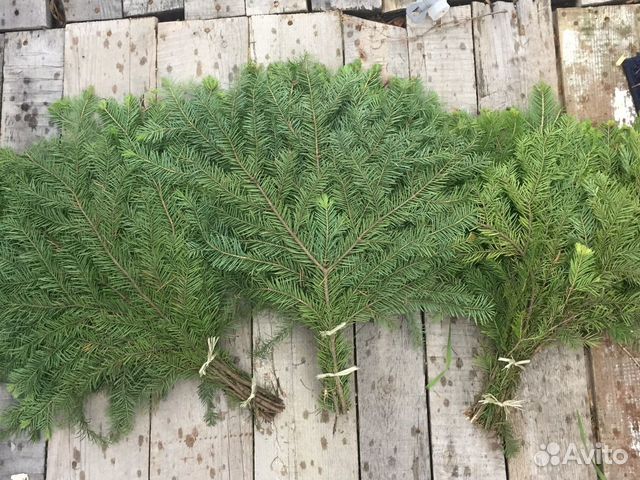 Веники для бани