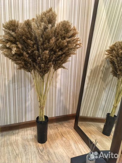 Сухоцветы букет