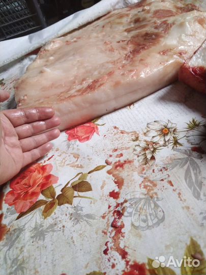 Сало домашнее