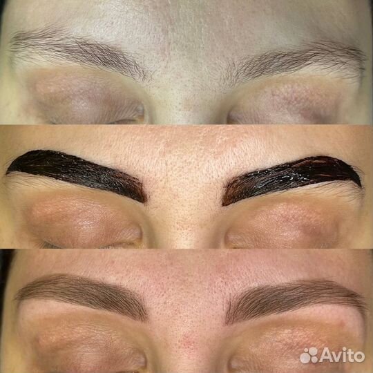 Базовый курс бровиста