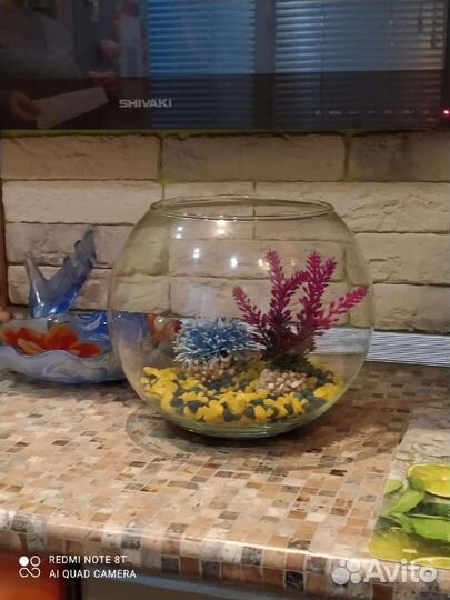 Аквариум