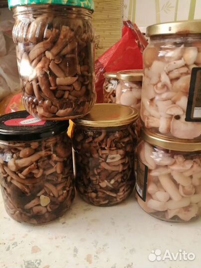 Грибы маринованные