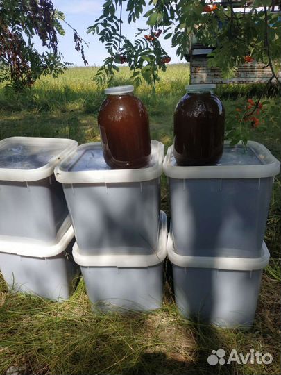 Мед со своей кочевой пасеки