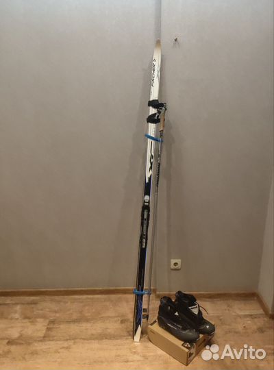 Беговые лыжи