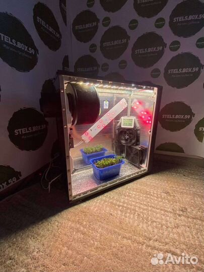 Гроубокс под ключ, stelsbox, growbox