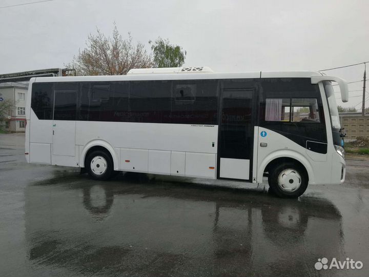 Аренда автобуса с водителем