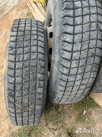 Кама 310 12 R20