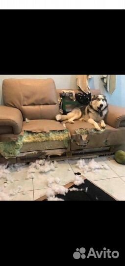 Перетяжка мебели