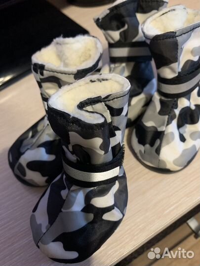 Зимние ботинки для собак