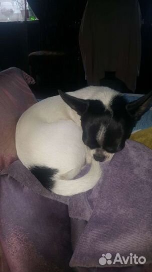 Вязка кабеля