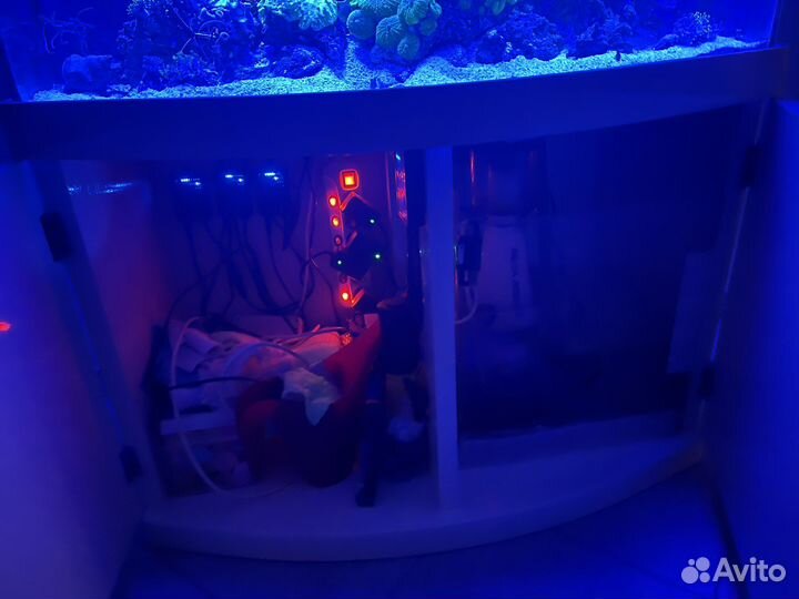 Продам морской аквариум