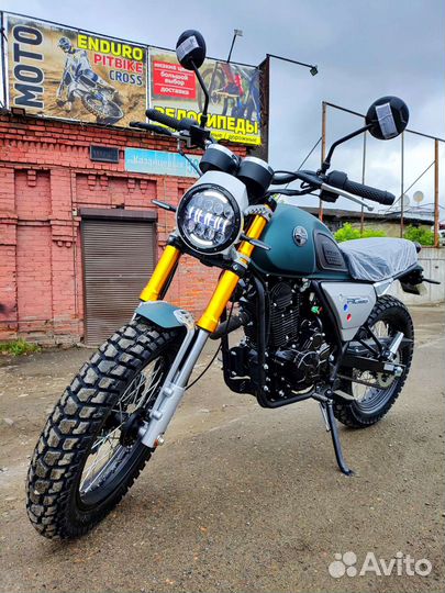 Новый Racer Triumph 250 (2023)