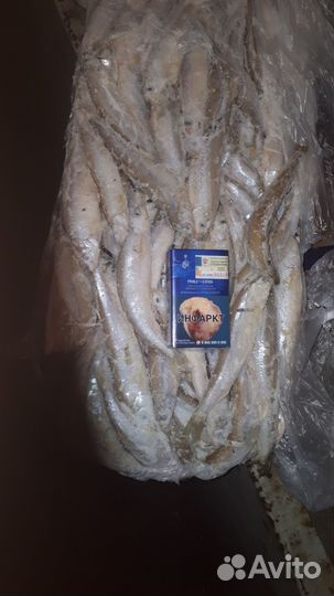 Корюшка свежемороженная