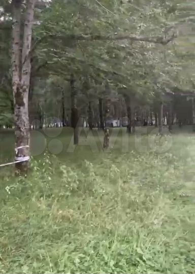 Участок 100 сот. (СНТ, ДНП)