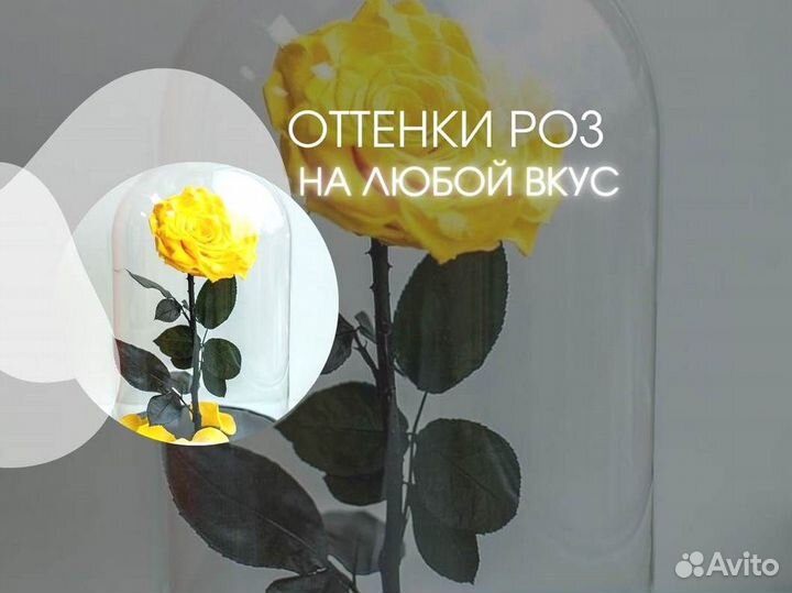 Неувядающая роза в колбе