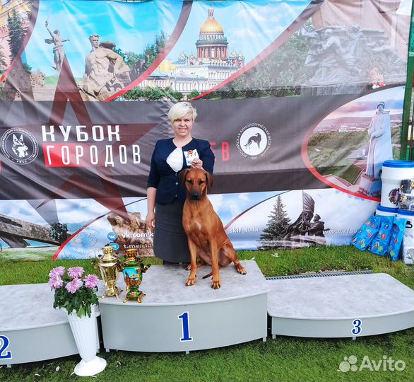 Кинологический центр