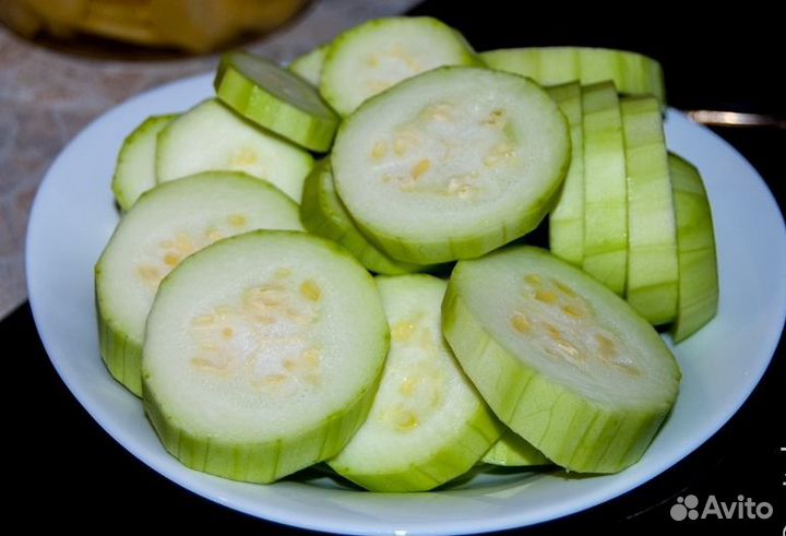 Кабачок кустовой 