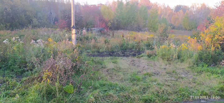 Участок 10 сот. (СНТ, ДНП)