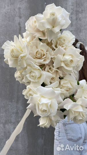 Розы сорта Playa Blanka в подарок