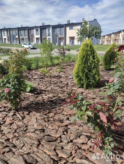 Мульча сосновая кора