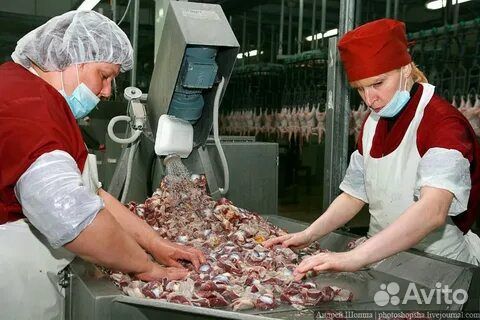 Сортировщик/ца без опыта вахта в Тамбов с жильем