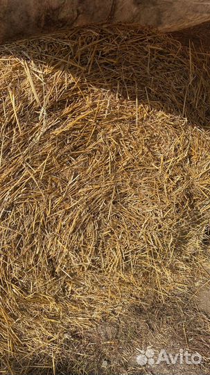 Солома в рулонах