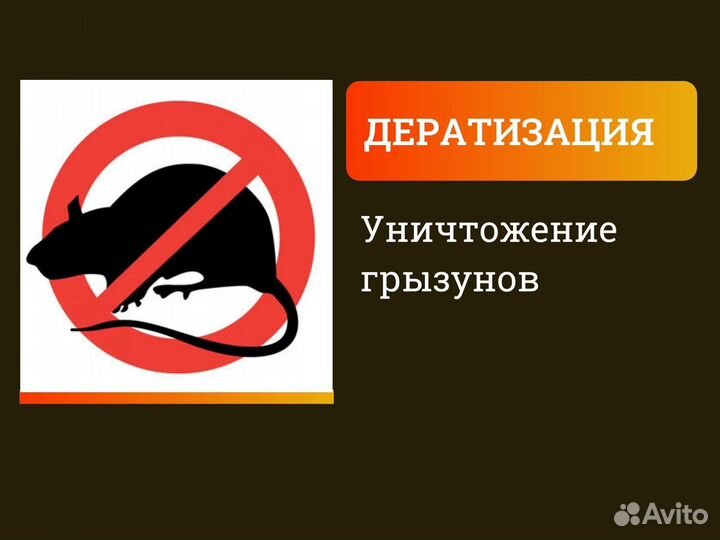 Дезинфекция дезинсекция дератизация обработка