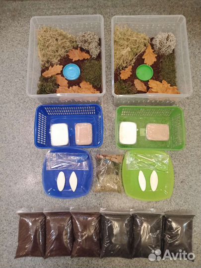 Террариумы для улиток с полным наполнением