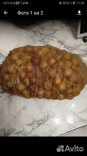 Лук семейка. Смесь. Севок.На посадку осенью