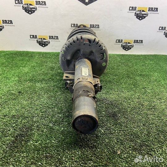 Стойка амортизатора в сборе передняя